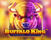 Buffalo King